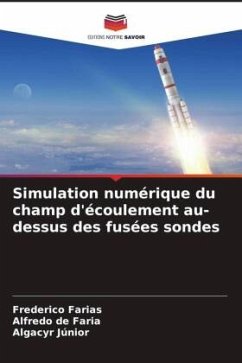 Cover Simulation numérique du champ d'écoulement au-dessus des fusées sondes