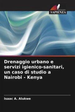 Cover Drenaggio urbano e servizi igienico-sanitari, un caso di studio a Nairobi - Kenya