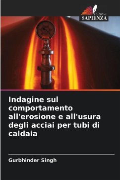 Cover Indagine sul comportamento all'erosione e all'usura degli acciai per tubi di caldaia