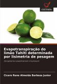 Evapotranspiração do limão Tahiti determinada por lisimetria de pesagem Evapotranspiração do limão Tahiti determinada por lisimetria de pesagem