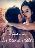 In piena vista - racconto erotico (eBook, ePUB)