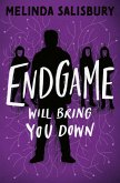 Endgame (eBook, ePUB)