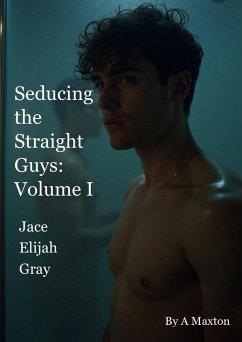 Cover Seducing the Straight Guys Volume 1 (eBook, ePUB)