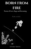 Born From Fire (eBook, ePUB)