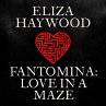Fantomina: Love in a Maze (MP3-Download) - Bild 1