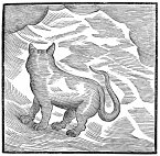 Kansai Bruises Kansai Bruises