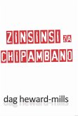 Zinsinsi Za Chipambano (eBook, ePUB)