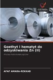 Goethyt i hematyt do odzyskiwania Zn (II)