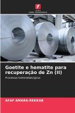 Goetite e hematite para recuperação de Zn (II)