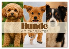 Cover Hunde mit Charakter (Wandkalender 2026 DIN A4 quer), CALVENDO Monatskalender