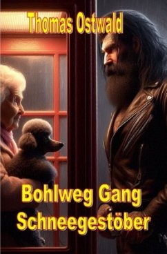 Bohlweg Gang - Schneegestöber - Ostwald, Thomas