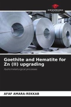 Cover Goethite and Hematite for Zn (II) upgrading