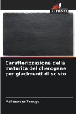 Caratterizzazione della maturità del cherogene per giacimenti di scisto