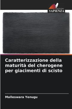 Cover Caratterizzazione della maturità del cherogene per giacimenti di scisto