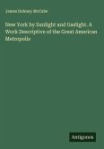 New York by Sunlight and Gaslight. A Work Descriptive of the Great American Metropolis
