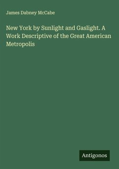 Cover New York by Sunlight and Gaslight. A Work Descriptive of the Great American Metropolis