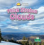 Thick Stratus Clouds