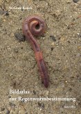 Bildatlas der Regenwurmbestimmung