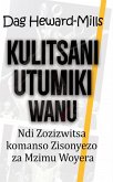 Kulitsani Utumiki Wanu Ndi Zozizwitsa Komanso Zisonyezo za Mzimu Woyera (eBook, ePUB)