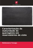 Caracterização da maturidade do querogénio em reservatórios de xisto