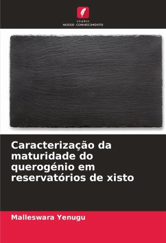 Cover Caracterização da maturidade do querogénio em reservatórios de xisto