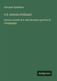 A d. Antonio Pellizzari