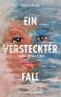 Ein versteckter Fall (eBook, ePUB) - Bild 1