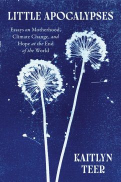 Cover Little Apocalypses (eBook, ePUB)