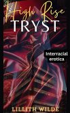 High Rise Tryst (eBook, ePUB)