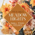 Meadow Hights: Small Town Feelings (MP3-Download)