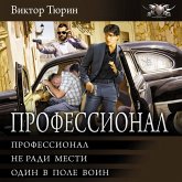 Professional: Professional. Ne radi mesti. Odin v pole voin (MP3-Download)