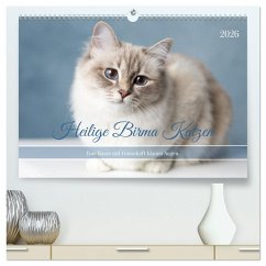 Heilige Birma Katzen - Eine Rasse mit traumhaft blauen Augen. (hochwertiger Premium Wandkalender 2026 DIN A2 quer), Kunstdruck in Hochglanz