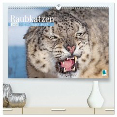Raubkatzen: Geschmeidige Jäger (hochwertiger Premium Wandkalender 2026 DIN A2 quer), Kunstdruck in Hochglanz Raubkatzen: Geschmeidige Jäger (hochwertiger Premium Wandkalender 2026 DIN A2 quer), Kunstdruck in Hochglanz
