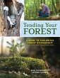 Tending Your Forest - Bild 1