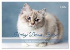 Heilige Birma Katzen - Eine Rasse mit traumhaft blauen Augen. (Tischkalender 2026 DIN A5 quer), CALVENDO Monatskalender