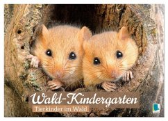 Wald-Kindergarten: Tierkinder im Wald (Wandkalender 2026 DIN A3 quer), CALVENDO Monatskalender