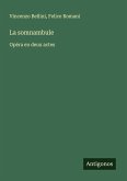 La somnambule La somnambule