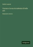 Carrara e la sua Accademia di belle arti