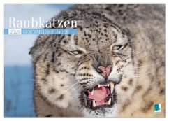 Raubkatzen: Geschmeidige Jäger (Tischkalender 2026 DIN A5 quer), CALVENDO Monatskalender Raubkatzen: Geschmeidige Jäger (Tischkalender 2026 DIN A5 quer), CALVENDO Monatskalender