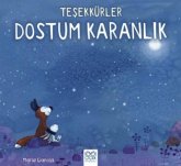Tesekkürler Dostum Karanlik Tesekkürler Dostum Karanlik