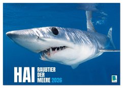 Hai: Raubtier der Meere (Wandkalender 2026 DIN A2 quer), CALVENDO Monatskalender