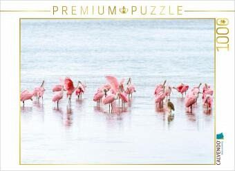 CALVENDO Puzzle Rosalöffler in Florida   1000 Teile Lege-Größe 64x48cm Foto-Puzzle für glückliche Stunden