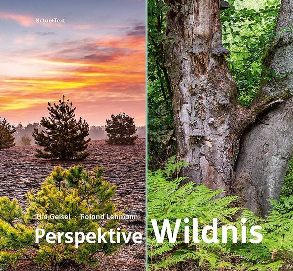 Perspektive Wildnis Perspektive Wildnis