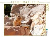 CALVENDO Puzzle Uinta-Streifenhörnchen   1000 Teile Lege-Größe 64x48cm Foto-Puzzle für glückliche Stunden