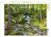 CALVENDO Puzzle Im Ilsetal nahe der unteren Ilsefälle   1000 Teile Lege-Größe 64x48cm Foto-Puzzle für glückliche Stunden