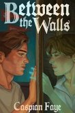 Between the Walls (eBook, ePUB) Between the Walls (eBook, ePUB)