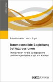 Traumasensible Begleitung bei Aggressionen (eBook, PDF)