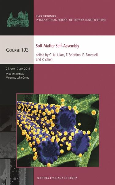 Soft Matter Self-Assembly (eBook, PDF)