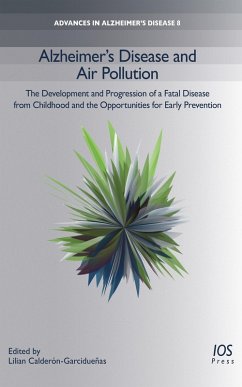 Cover Alzheimer's Disease and Air Pollution (eBook, PDF)