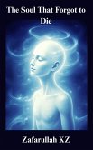 The Soul That Forgot to Die (eBook, ePUB)